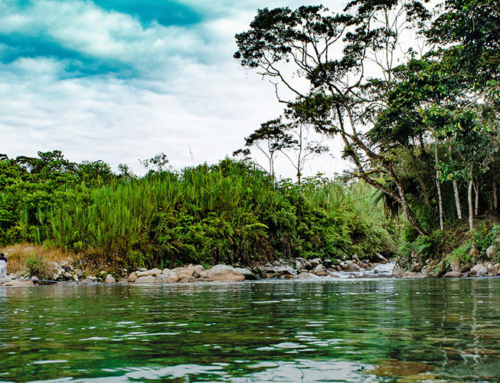 AMAZONIA ECUATORIANA