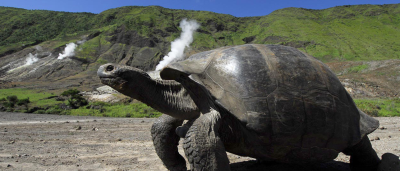 GALAPAGOS – Senderos Naturales